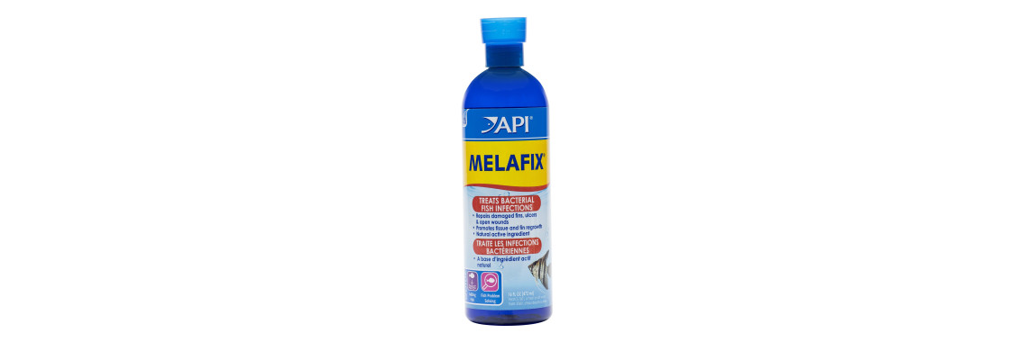 API Melafix Traitement Bactérien Poissons 118ml
