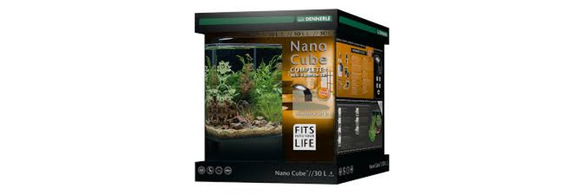 Aquarium Dennerle Nano Cube 30L Aquarium Plantes