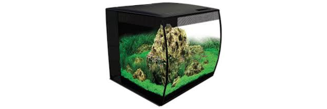 Aquarium Fluval Flex 57L Aquarium Design Moderne