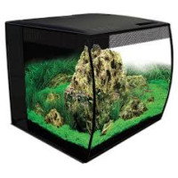 Aquarium Fluval Flex 57L Aquarium Design Moderne