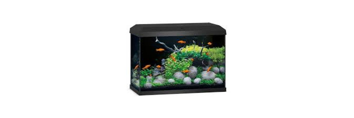 Aquarium Juwel Primo 70 LED Aquarium Complet 70L