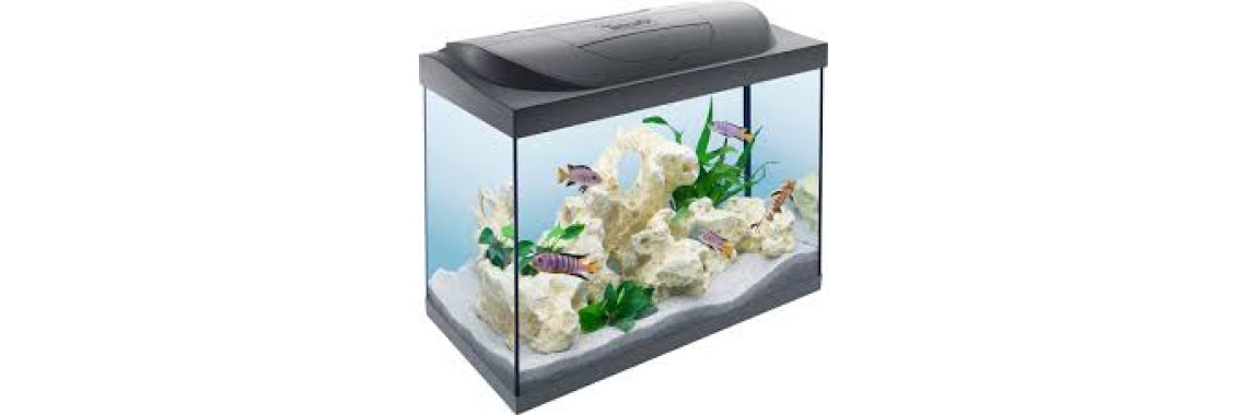 Aquarium Tetra Starter Line 80L Aquarium Complet