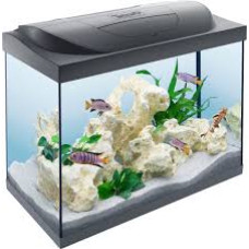 Aquarium Tetra Starter Line 80L Aquarium Complet