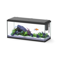 Aquatlantis - Aquarium Explorer Amsterdam 80 Equipé