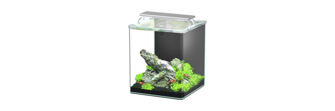 Aquatlantis - Aquarium Kubus Curve 20L - Essential