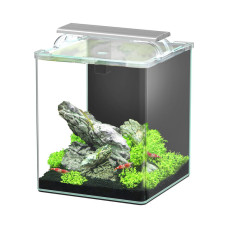 Aquatlantis - Aquarium Kubus Curve 20L - Essential