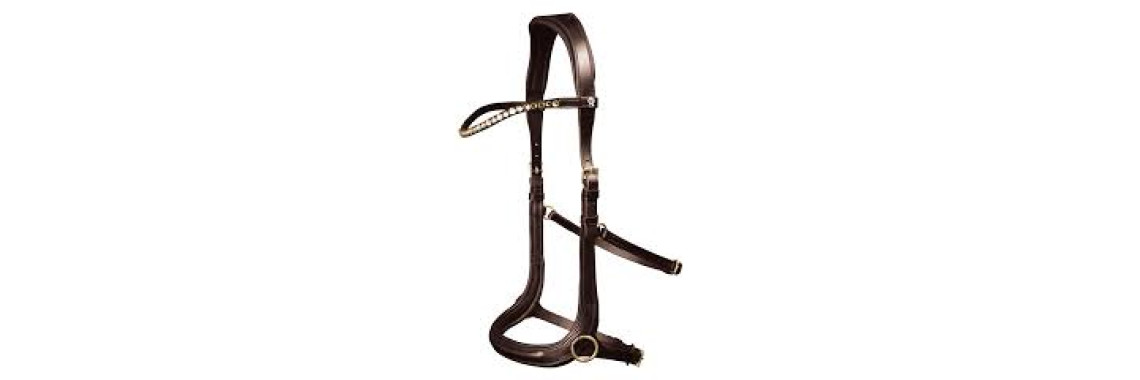 Bridon Cheval Cuir Waldhausen X-Line