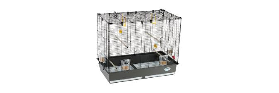 Cage Oiseaux Ferplast Piano 6
