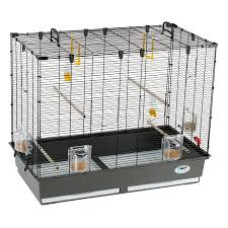 Cage Oiseaux Ferplast Piano 6