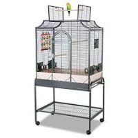 Cage Oiseaux Montana Madeira II Cage Oiseaux Montana Madeira II
