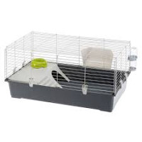 Cage Rongeur Ferplast Rabbit 100