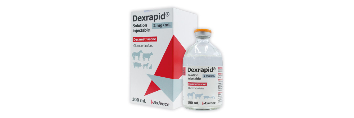 Dexrapid 2 mg/ml 50ml