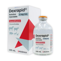 Dexrapid 2 mg/ml 50ml