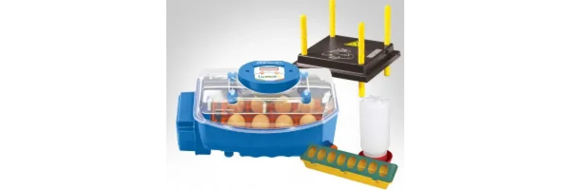 Mon kit premiers poussins Borotto