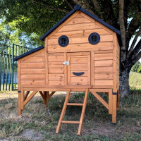 Poulailler Burma toit shingle ouvrant jusqu’à 4 poules avec rehausse