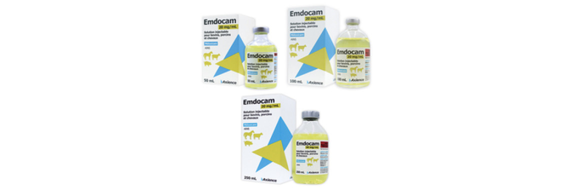 Emdocam 20 mg/ml 100ml