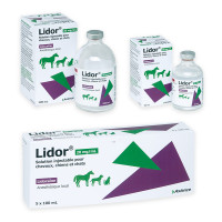 Lidor 20 mg/ml 100ml
