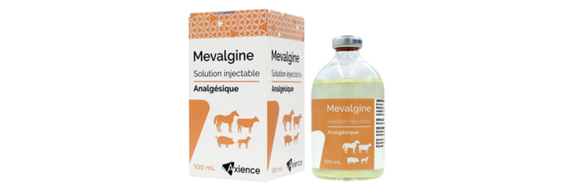 Mevalgine 500 mg/ml 100ml