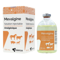 Mevalgine 500 mg/ml 100ml Mevalgine 500 mg/ml 100ml