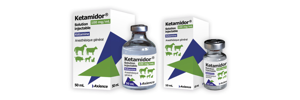 KETAMIDOR® 100 mg/mL Solution injectable