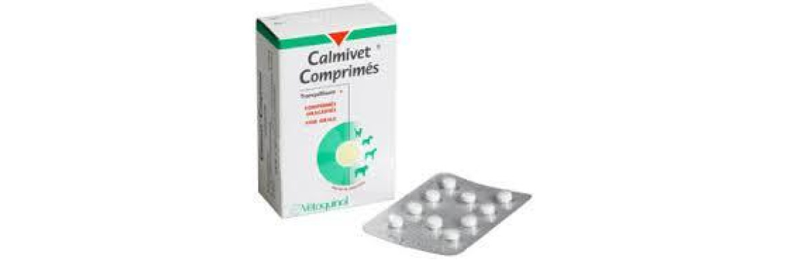Calmivet chat