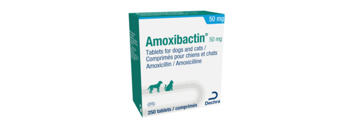 amoxibactin chat 50 mg
