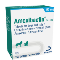 amoxibactin chat 50 mg