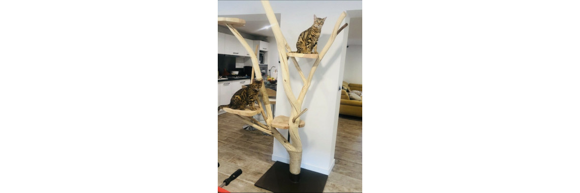 arbre a chat bois massif