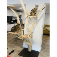 arbre a chat bois massif