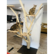 arbre a chat bois massif