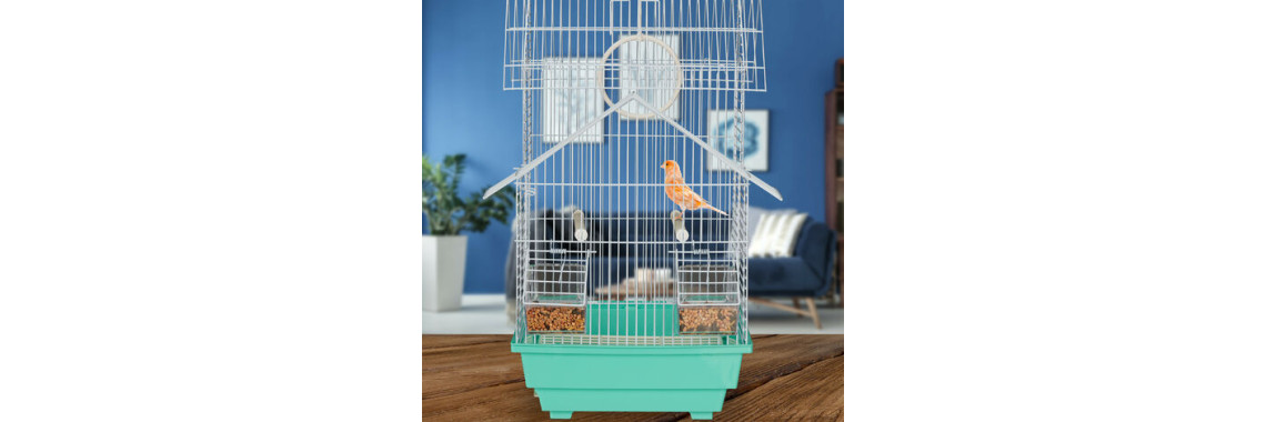 cage d élevage d oiseaux