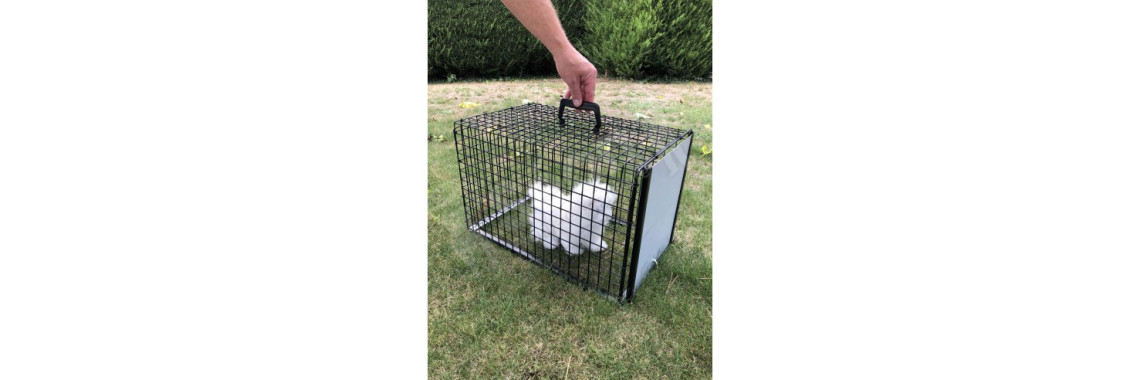 cage trappe chat