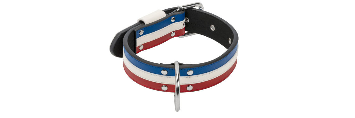 collier chien bleu blanc rouge