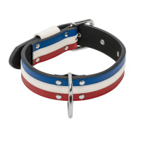 collier chien bleu blanc rouge