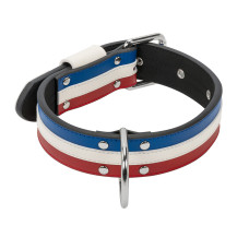 collier chien bleu blanc rouge