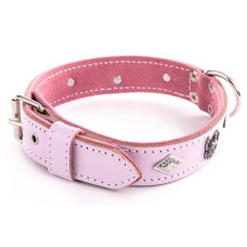 collier chien rose cuir