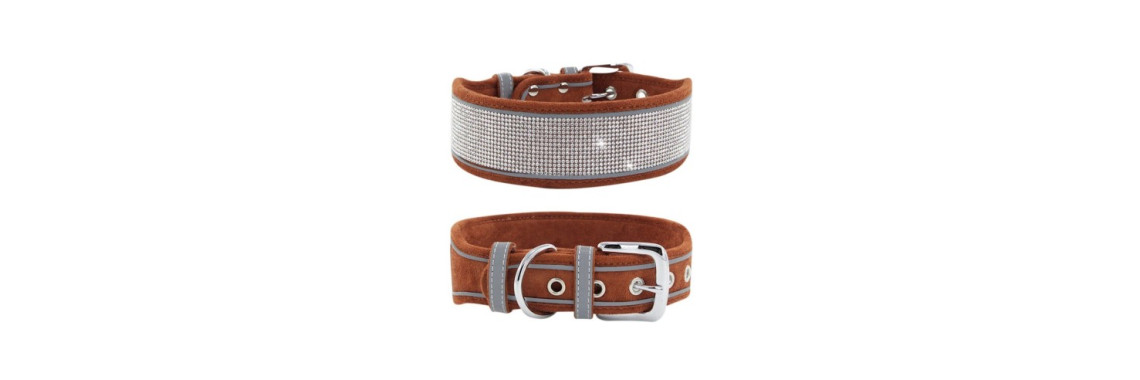collier de luxe pour chien