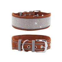 collier de luxe pour chien