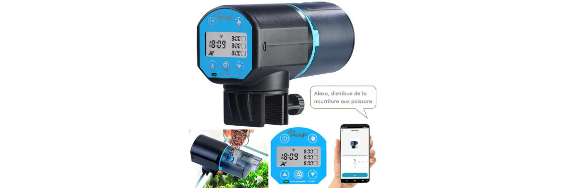 distributeur poissons aquarium