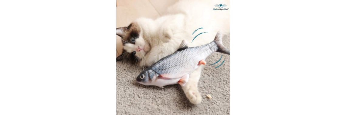 jeux poisson pour chat