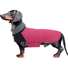 manteau pour chien teckel