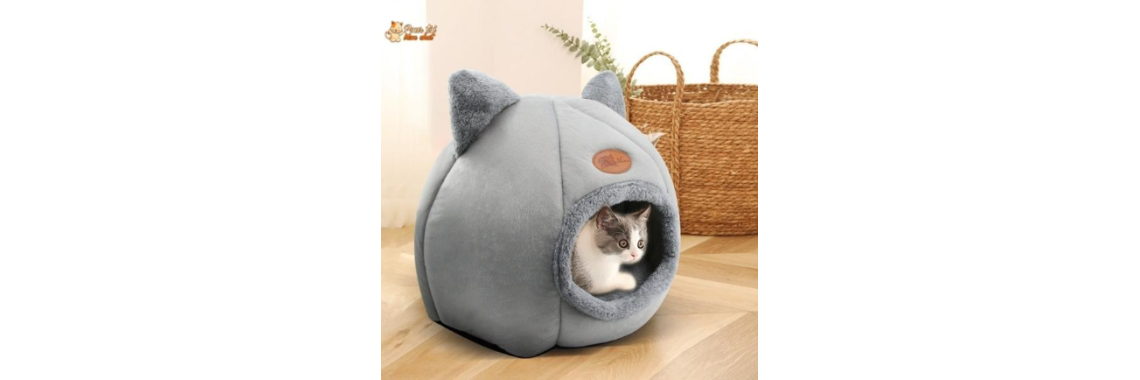 niche pour chat interieur