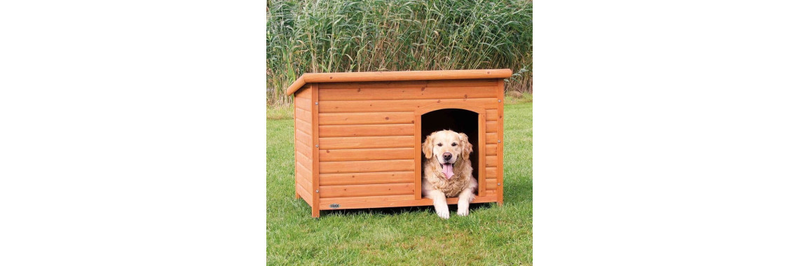 niche toit plat pour chien