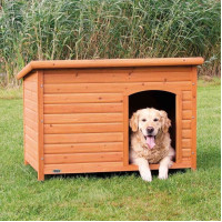 niche toit plat pour chien