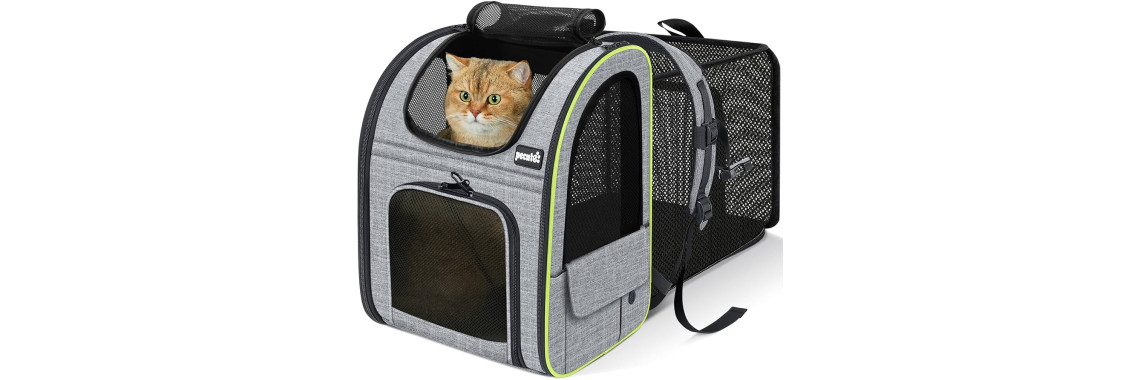 pecute sac transport chat