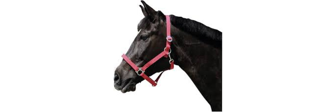 Licol Cheval Nylon Kerbl Classic