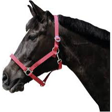 Licol Cheval Nylon Kerbl Classic