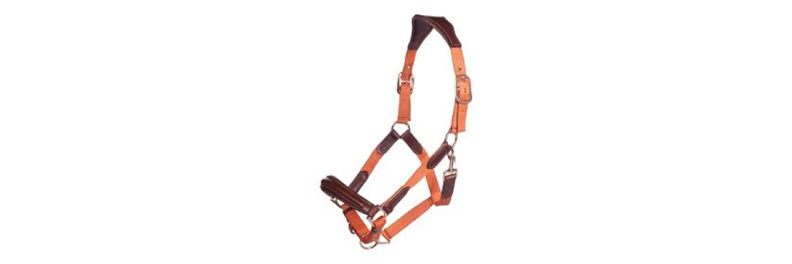 Licol Cheval Nylon Réglable HKM