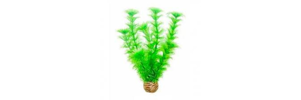 Plante Artificielle Aquarium Marina Green XL