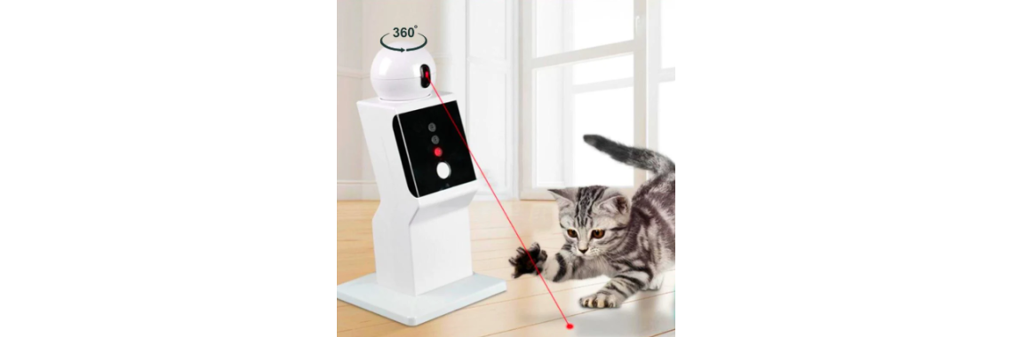 robot jouet chat